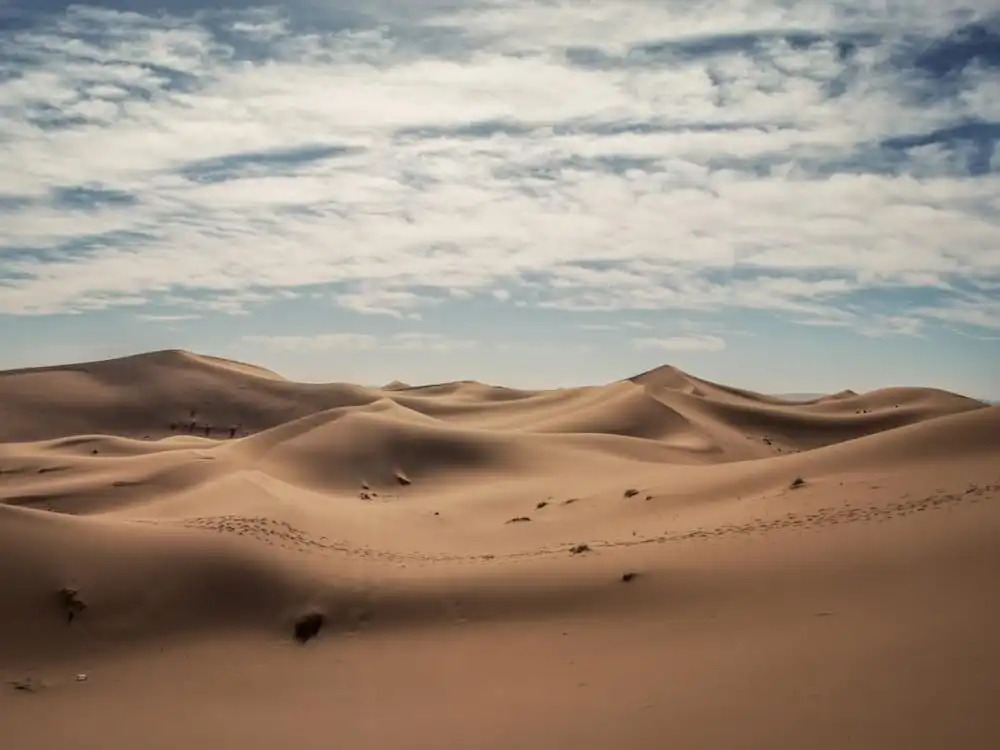 Bivouac Les Dunes De  Chegaga