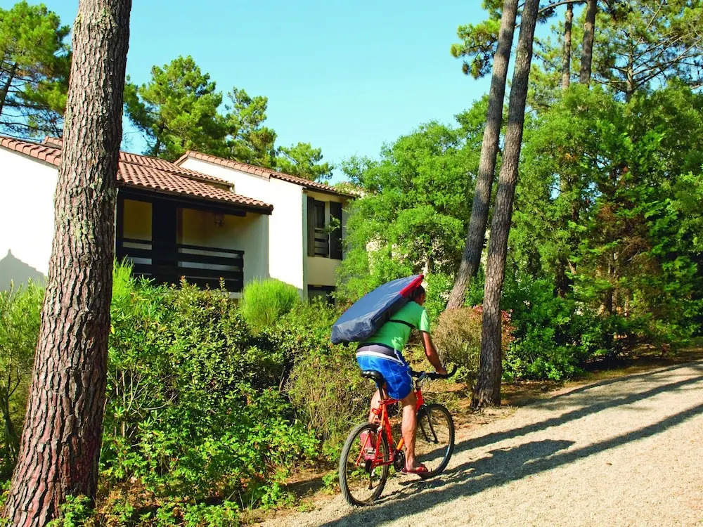 Comfortable Apartment With Wifi Located in the Dune Area