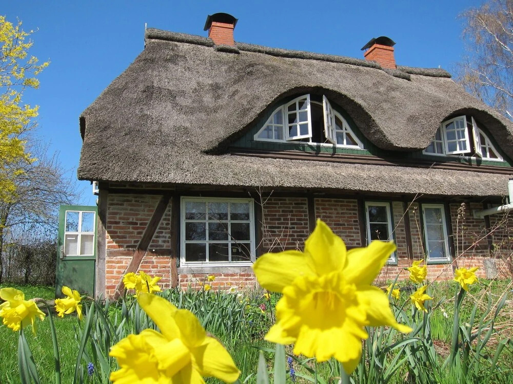 Big Holiday Home in Pronstorf Germany With Private Garden