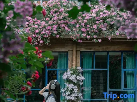 Ting Hua • Snow Mountain View Resort (Lijiang Ancient Town Branch)