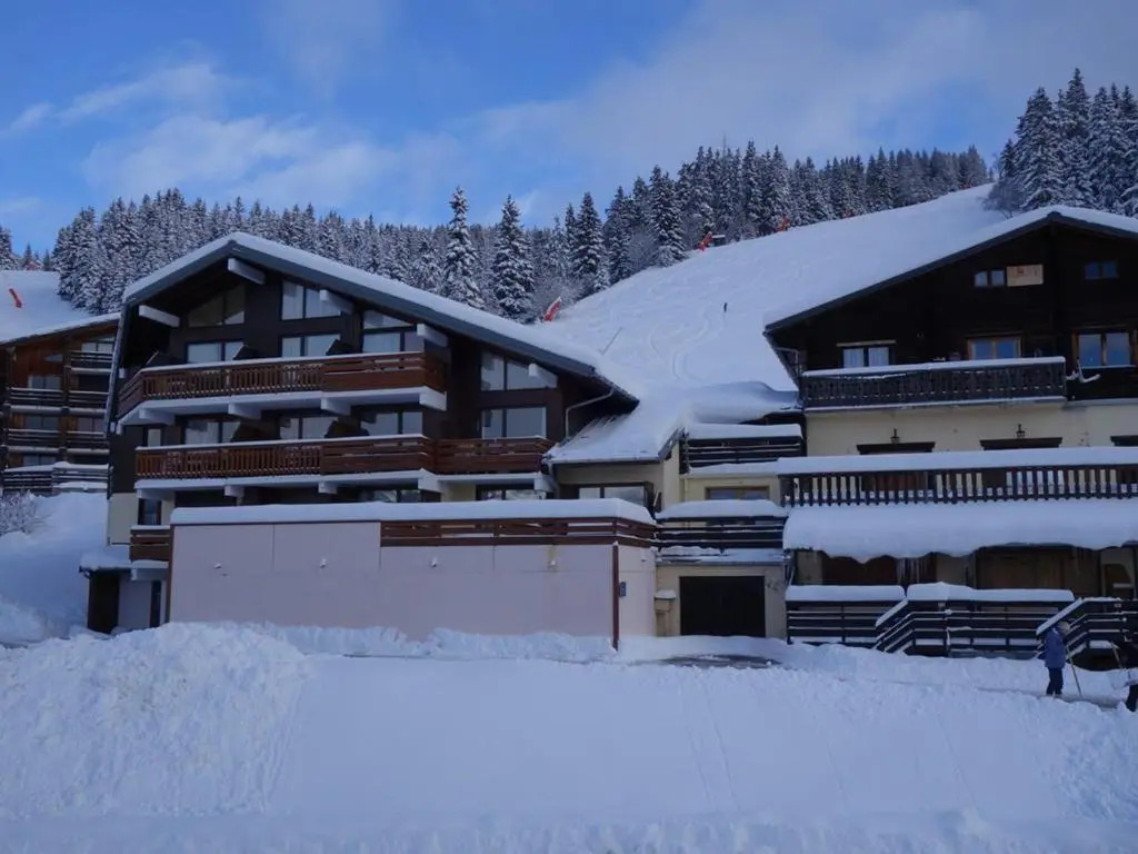 Appartement Les Saisies, 1 pièce, 4 personnes - FR-1-594-150