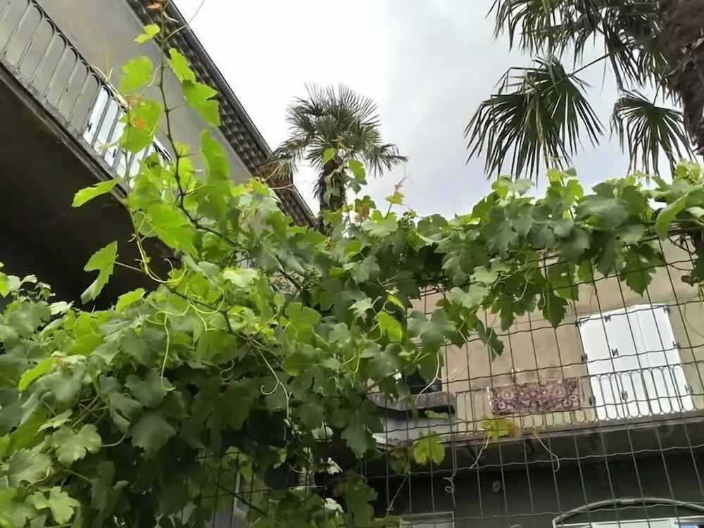 La Maison Jaffran, suite en ville