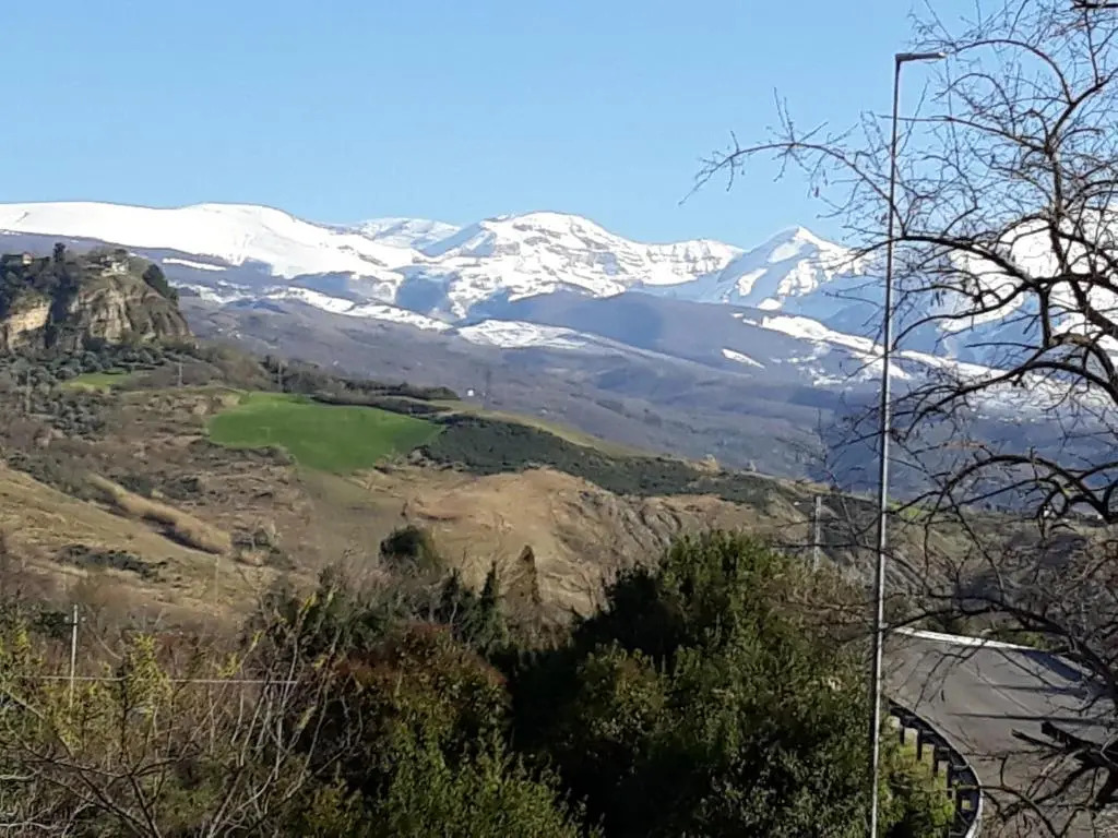 L'ulivo B&b