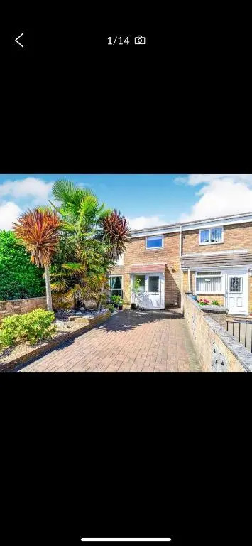 11 Whitehouse garden