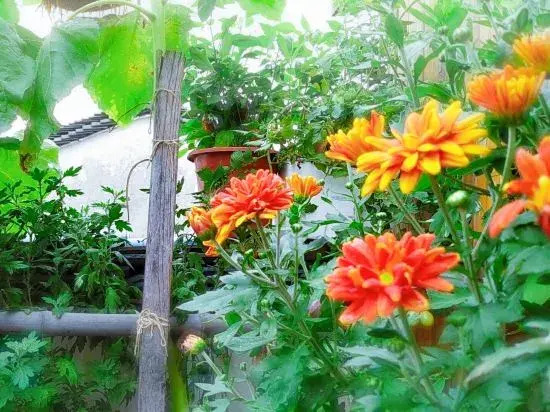 Shengshengman Hostel
