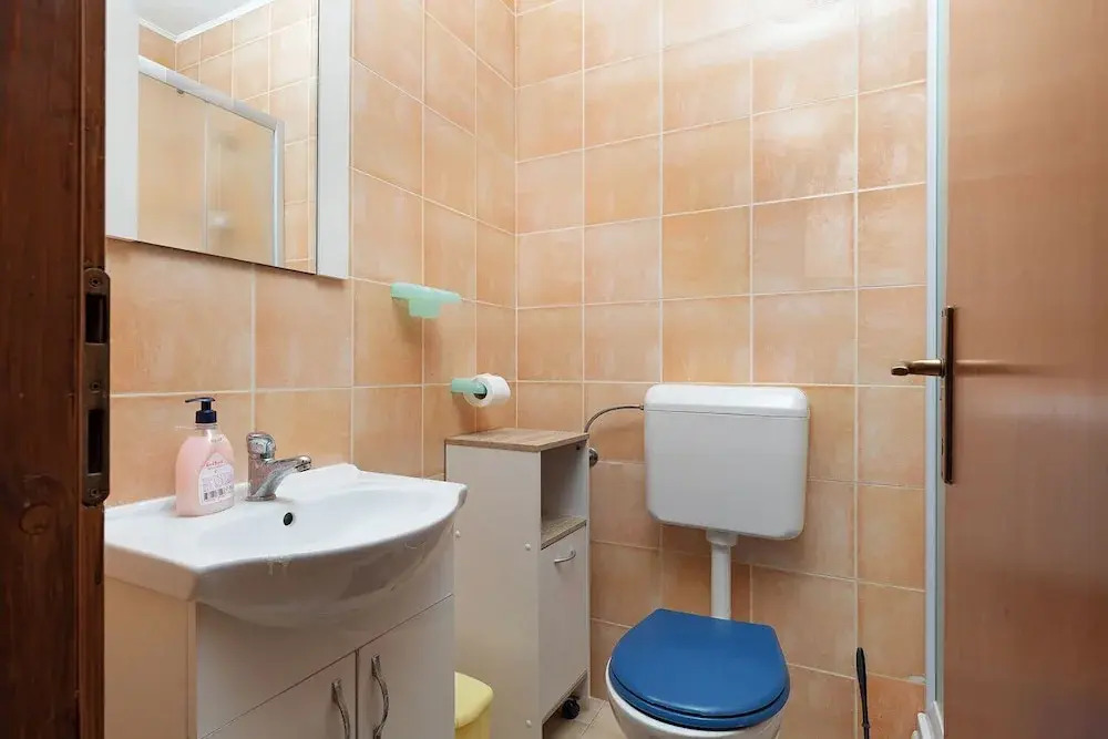 Apartment Vladimir