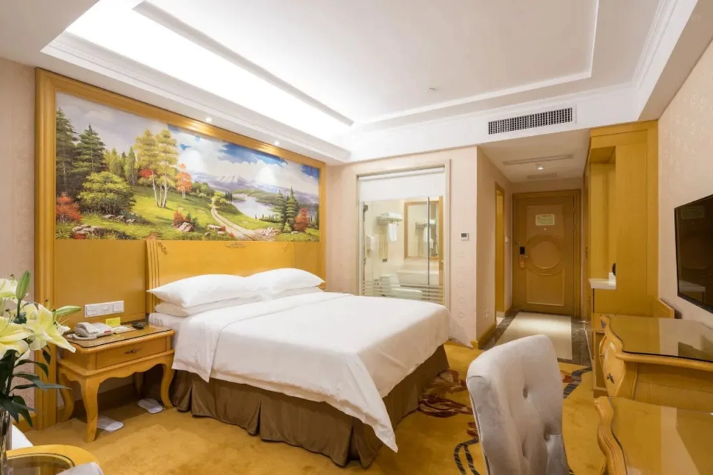 Vienna Hotel (Shenzhen Haorizi)