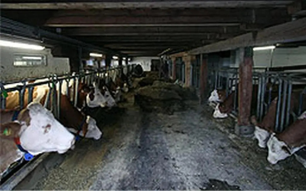Landhaus Löscher