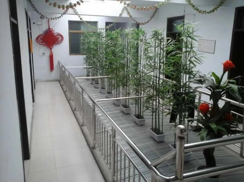 Xin Nong Hostel