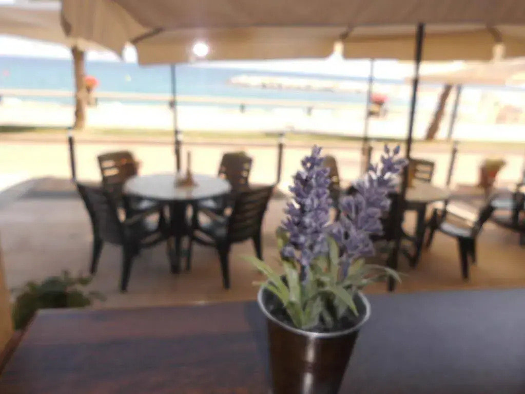 Hostal Spa Olga
