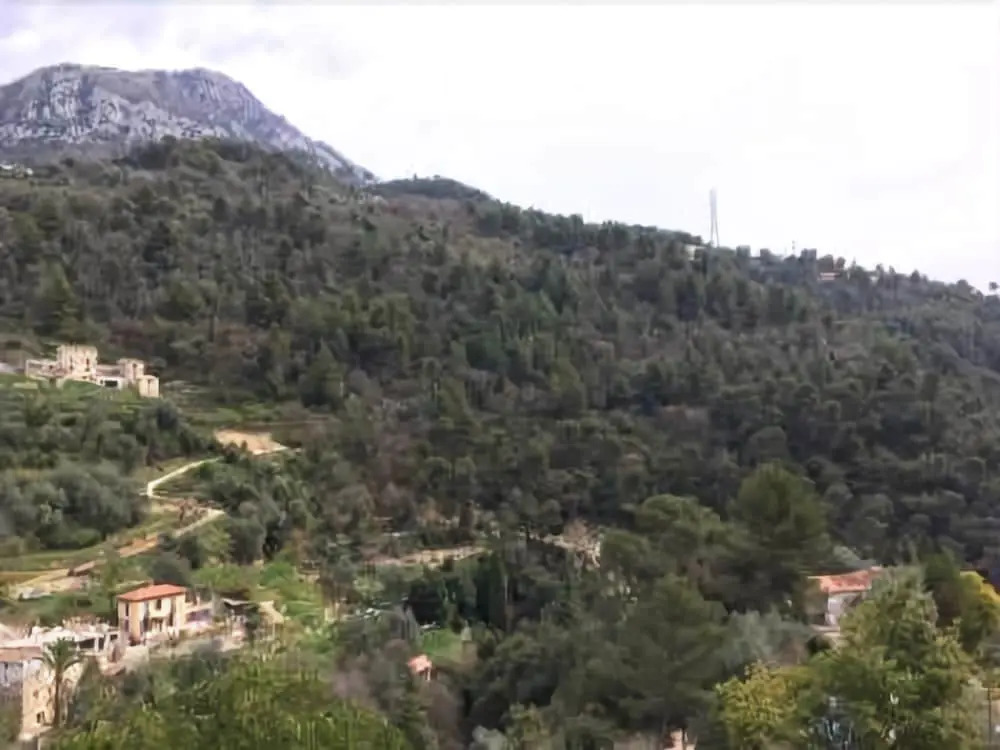 Le Relais De Monti