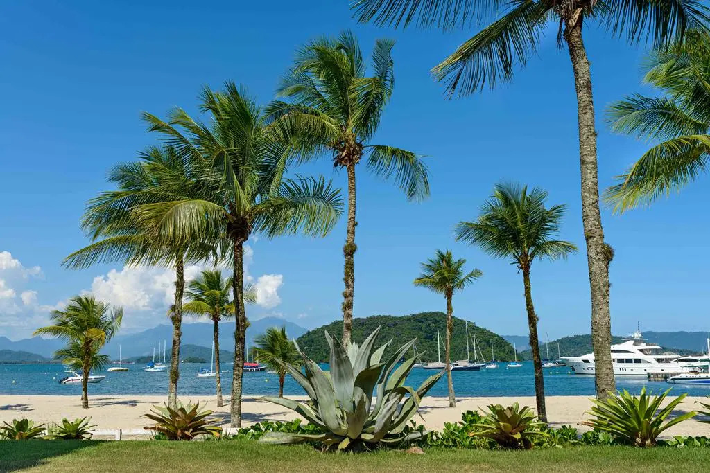 Fasano Angra dos Reis