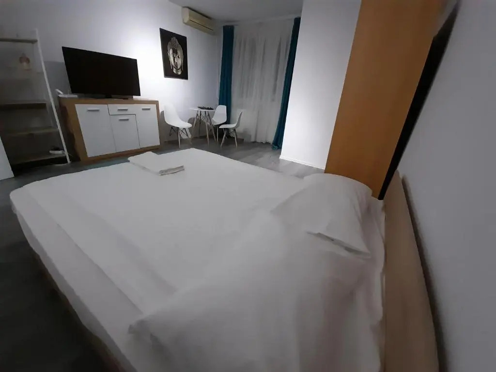 Bega Circumvalatiunii 1 Room Apartment