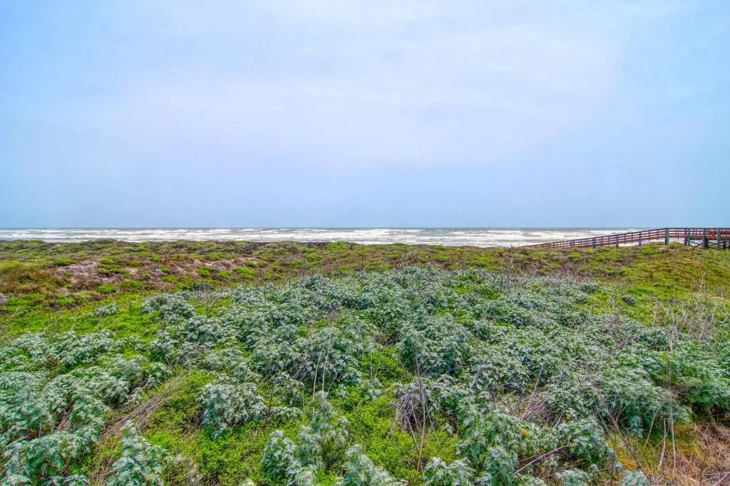 High Tide Hacienda 103GW