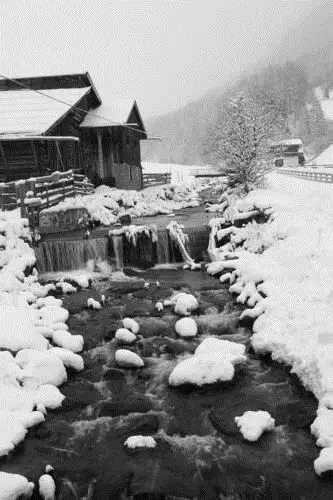 Pension Trofana