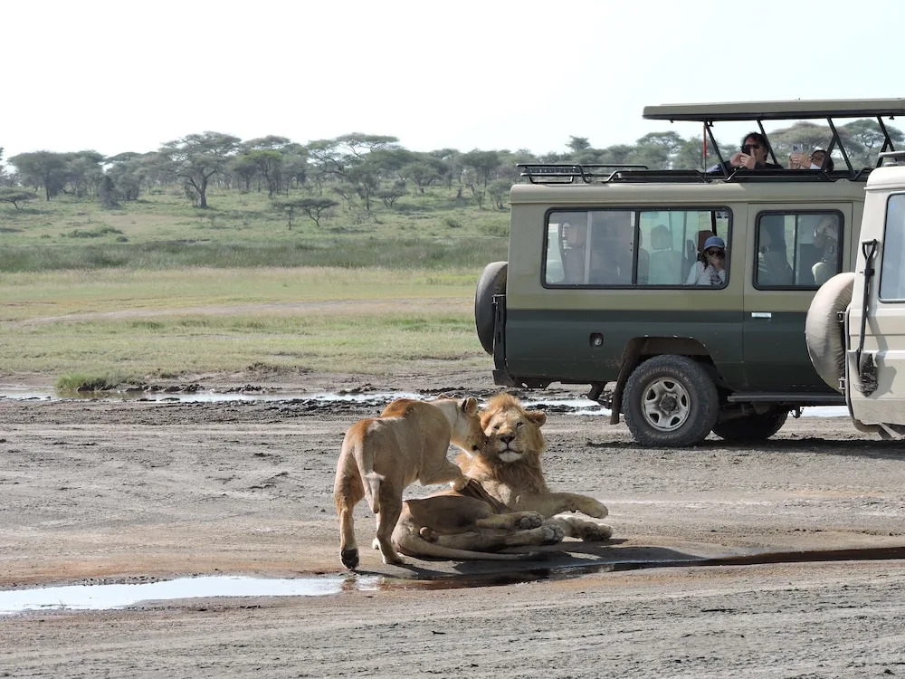Stc.Safari lodge
