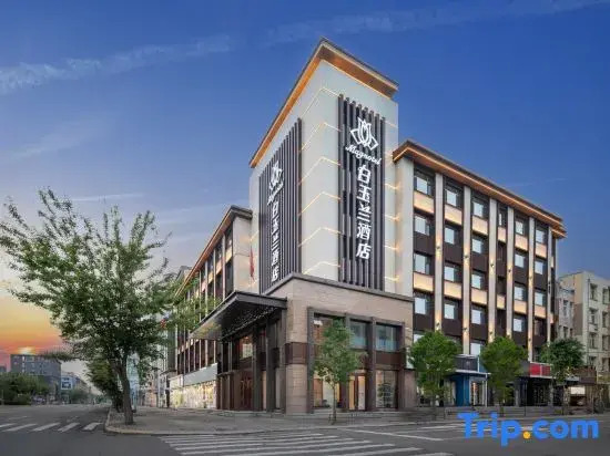 Magnotel Magnolia Hotel (Jiamusi Railway Station New Mart)