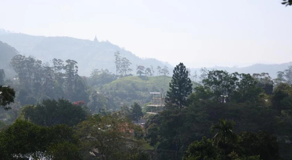 Sudu Homestay