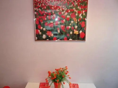 Orange Flower Apartments 1