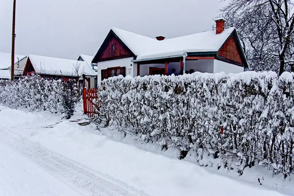 Csavargó Tanya