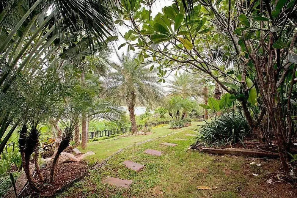 Solymar Villa