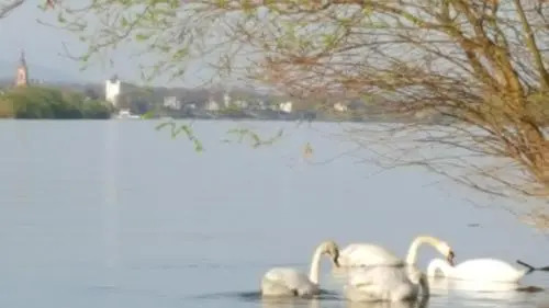 RUTHMANN-Rheinblick GARNI