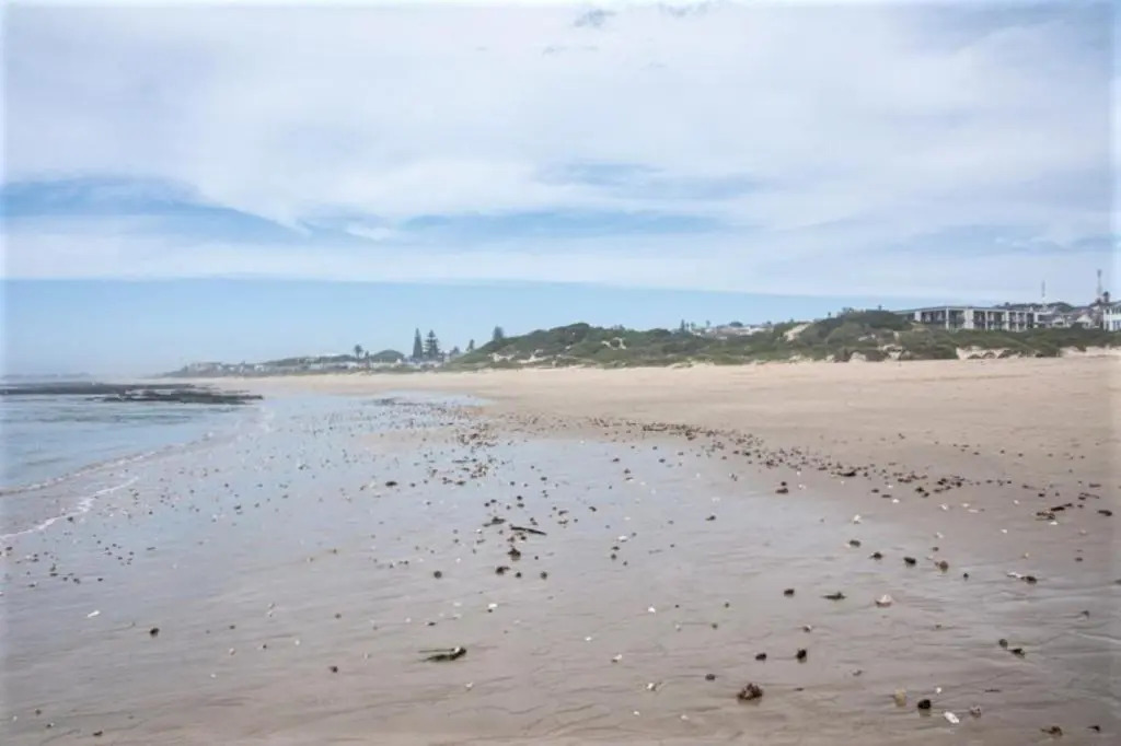 17 the Dune Jeffreys Bay