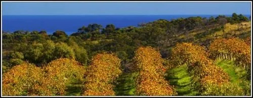 The Retreat at Chapel Hill Winery