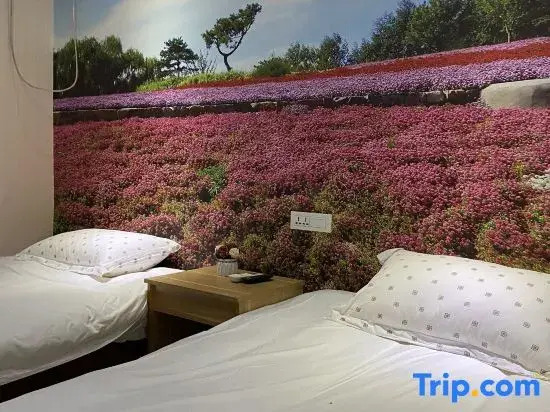 Warm Collection Hotel (Nanyang South Bus Station Ranying Branch)