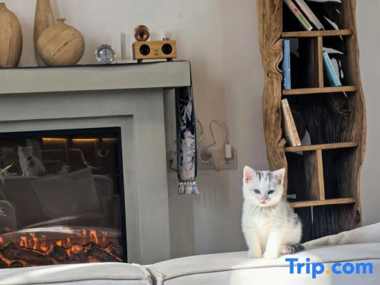 Yijingyun • Lijiang Snow Mountain View Holiday Homestay