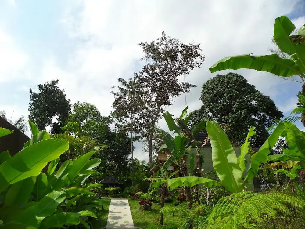 Payangan Residence