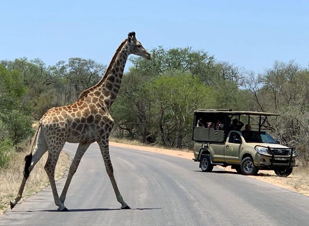 Safari Bed & Breakfast