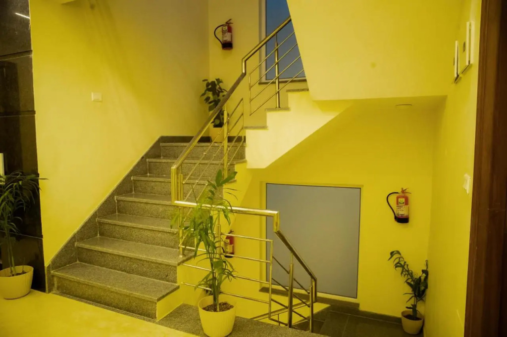 Lime Tree Luxury Studio