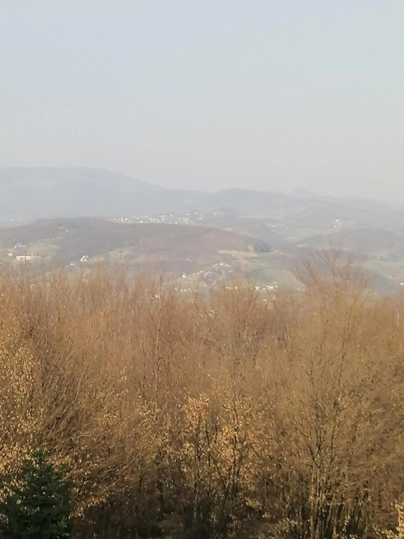 Zuta Kuca Sunca