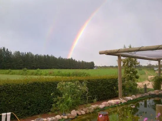Fish Eagles Lodge