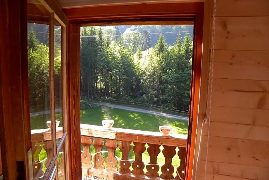 Spacious Swiss Alpine Chalet for Nature Lovers