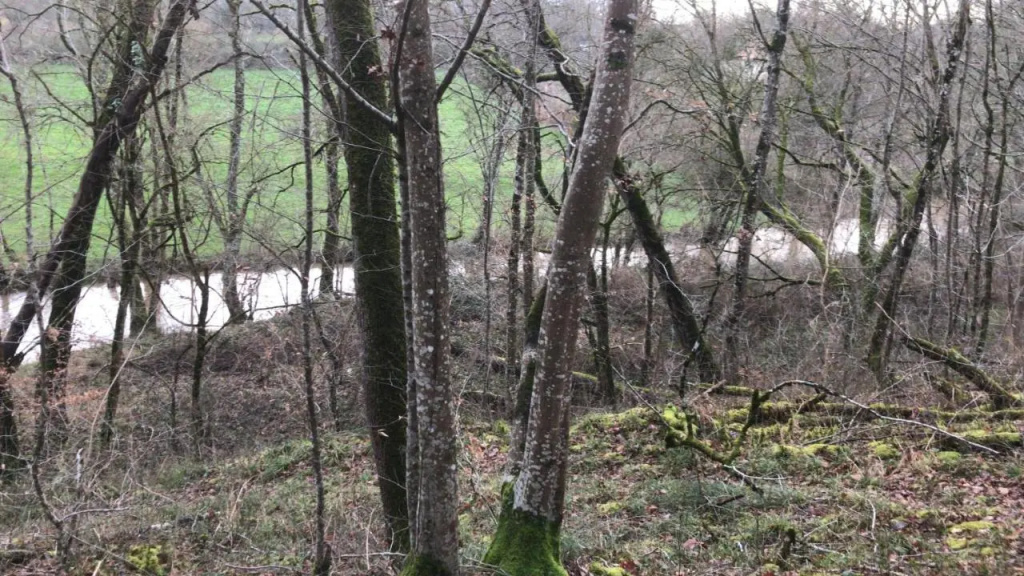 Le Domaine