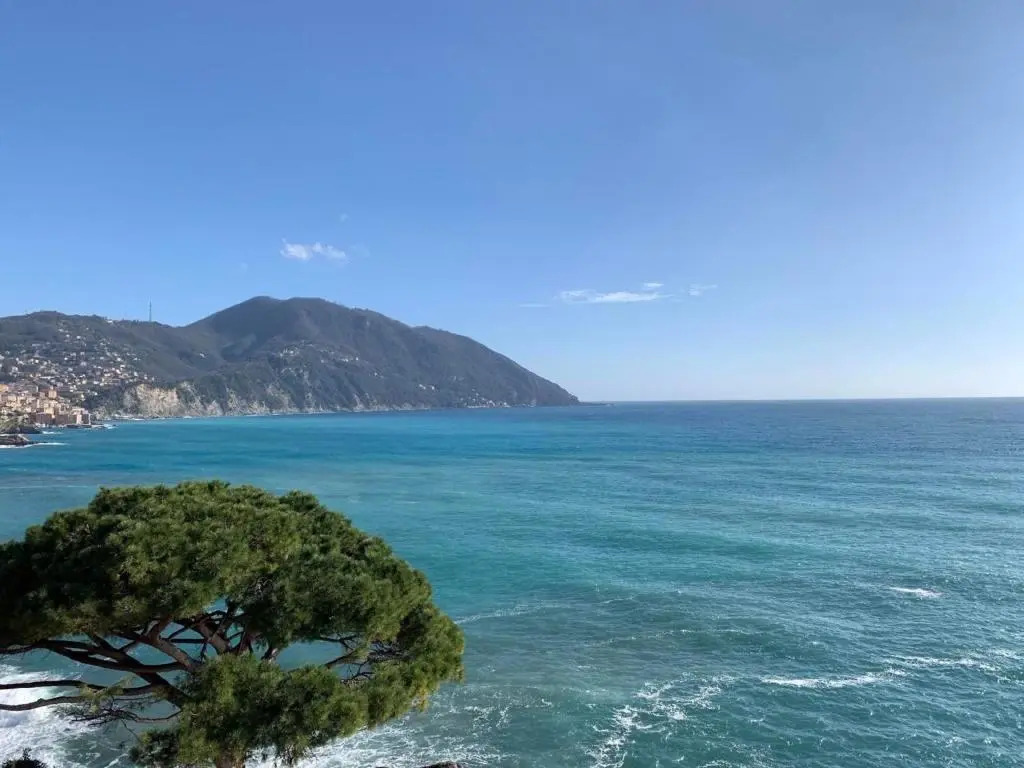 Ferienwohnung für 5 Personen ca 100 m in Recco, Italienische Riviera Golfo Paradiso