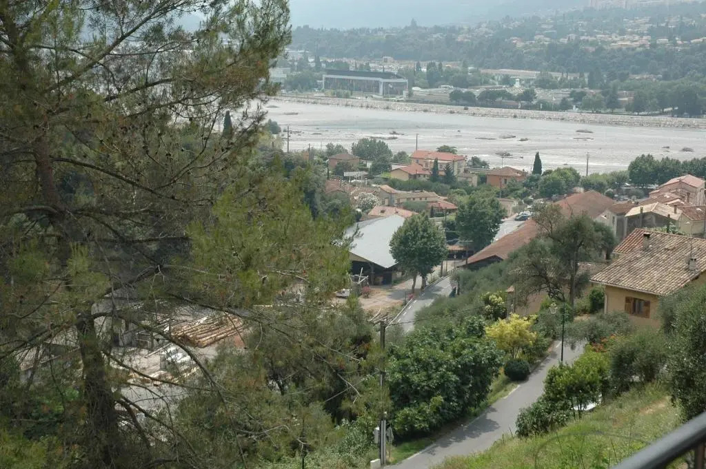La vigne sous les pins