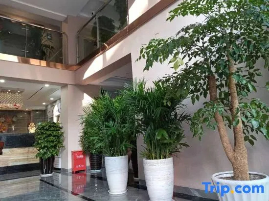 Overseas Chinese Ted Hotel