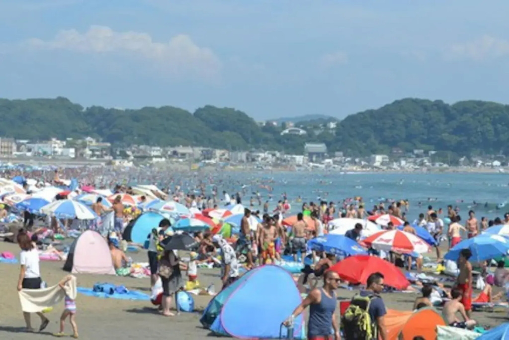 Credo Maison Kamakura 202