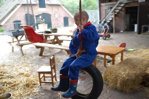 Koe in de Kost