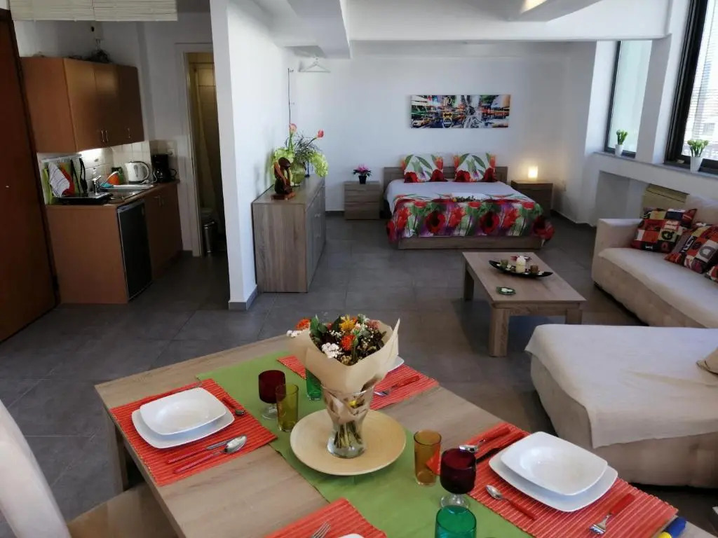 Spacious & Modern Studio Apartment Near the Airport