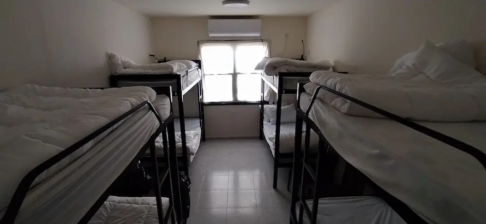 MOUNT41 Hostel