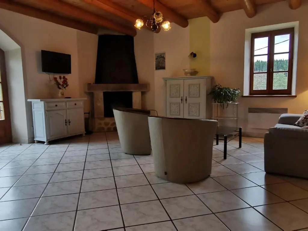 Grande maison en pierres avec jardin, proche dun bourg médiéval, animaux acceptés - FR-1-582-161