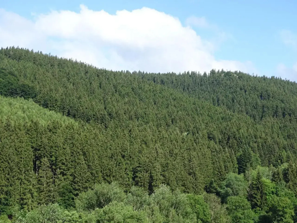 Ferienwohnung am Berggrabenweg