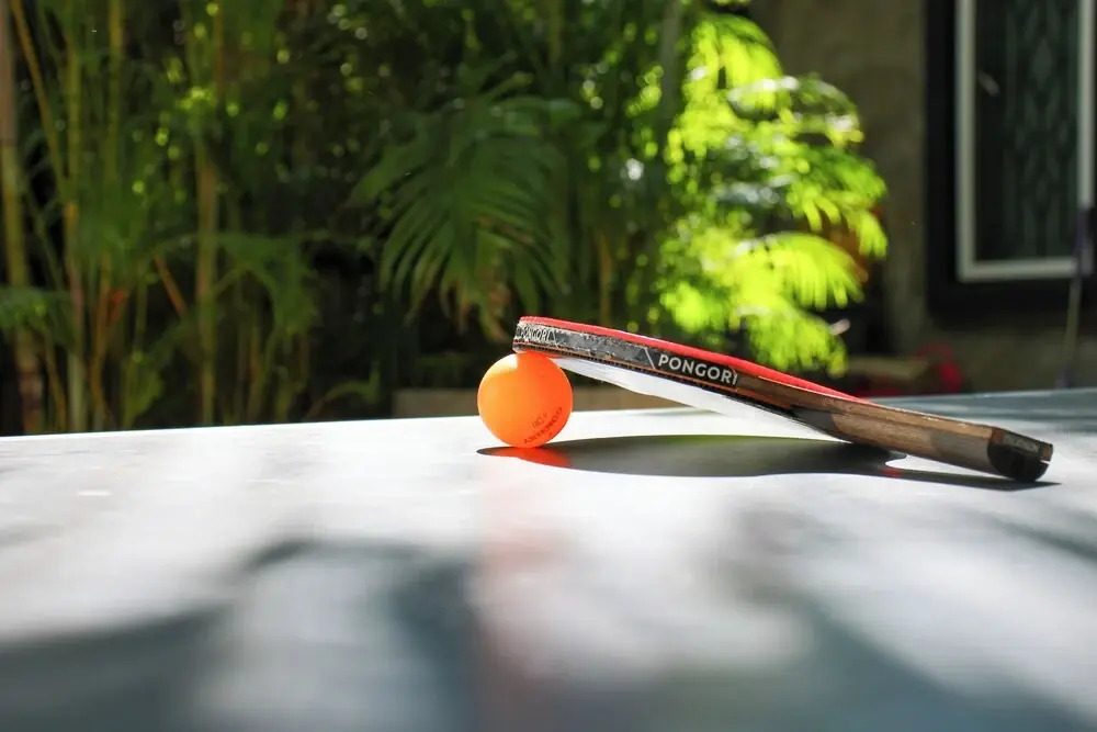 Le petit nid Banana resort