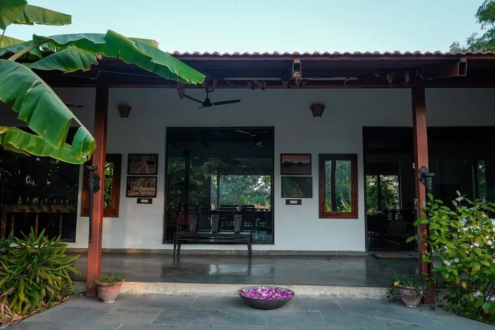 Mahua Tola Tadoba
