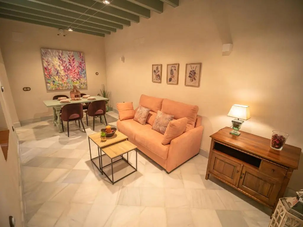 Casas de Sevilla - Apartamentos Vidrio 7