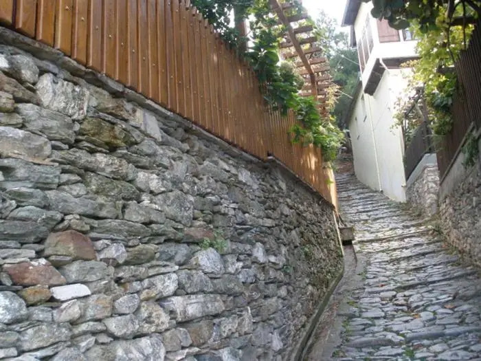 Village House
